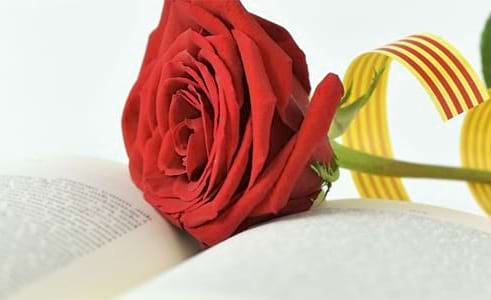 Roses i llibres per Sant Jordi