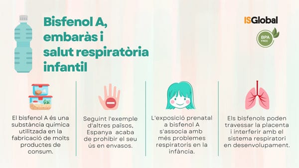 Infografia sobre l’exposició al bisfenol A en el ventre matern i els seus possibles efectes sobre la salut respiratòria