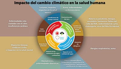 Impacte del canvi climàtic en la salut humana