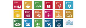 © Sustainable Development Goals