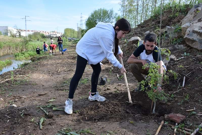 La cooperativa de l'Escola Palau d’Ametlla fan una plantada d'arbres i arbustos a Montornès de Vallès